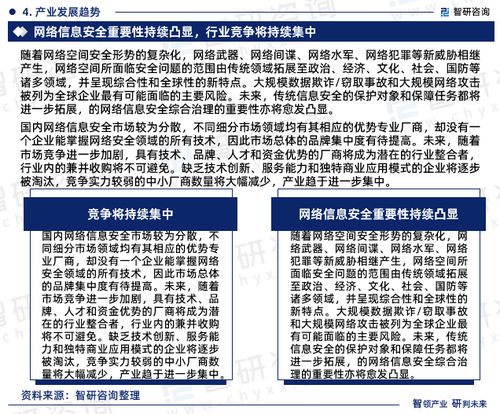 2024 2030年中国网络信息安全行业市场调查研究及发展前景规划报告