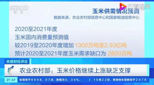 央视调查 玉米价格高涨给市场带来了哪些变化 未来价格走势如何